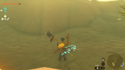 tears of the kingdom