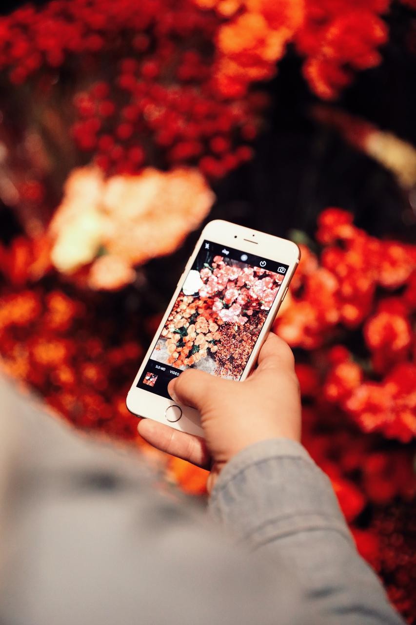 Top 3 Android Games for Flower Lovers