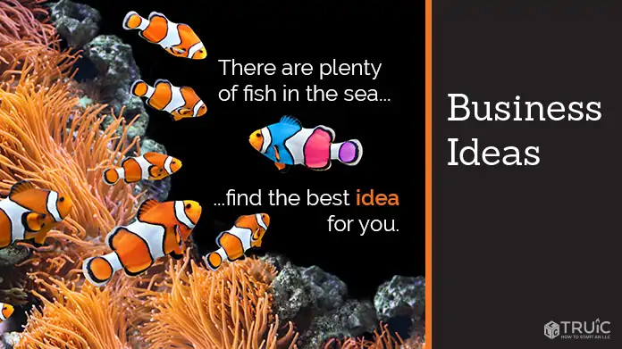 Business ideas