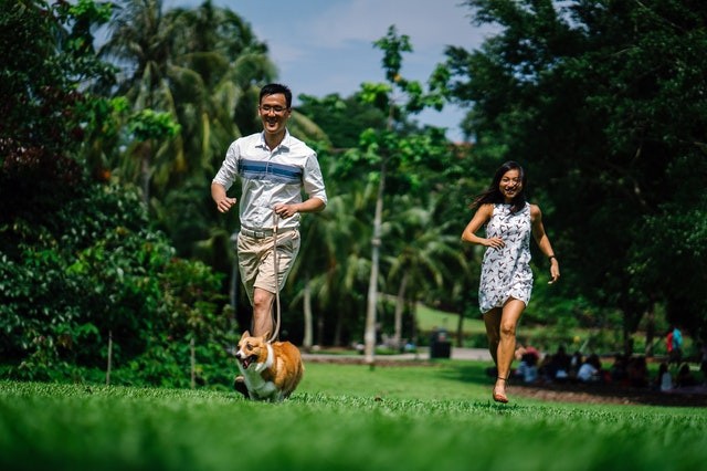 8 Things To Do On Long Weekends
