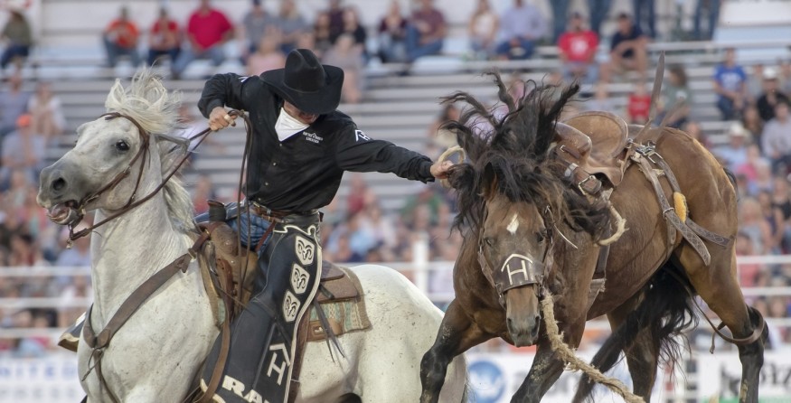 How to Watch the American Rodeo online?