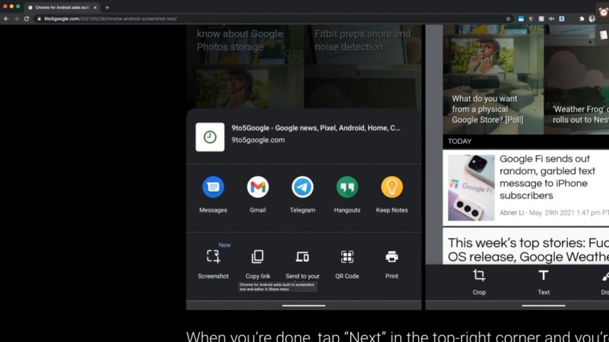 SCREENSHOT TOOL