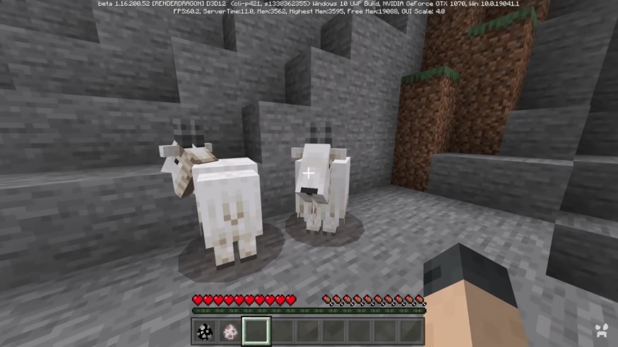 LOOK! A GOAT!