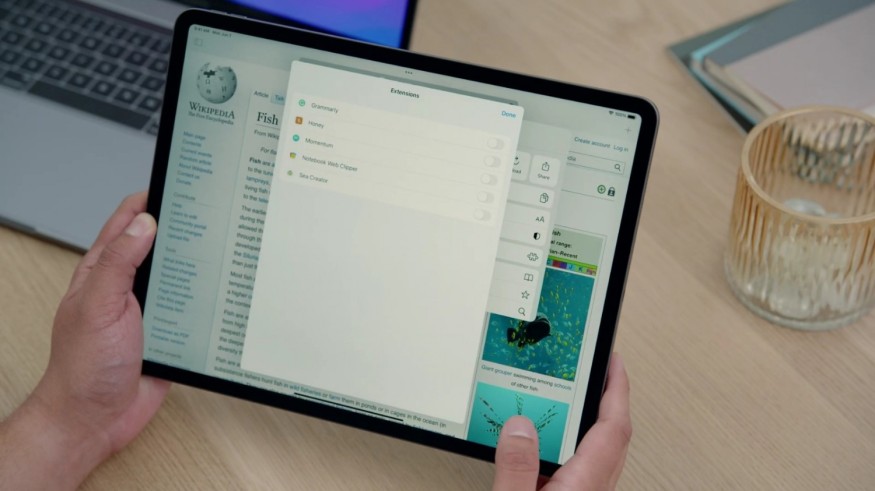 SAFARI BROWSER EXTENSIONS