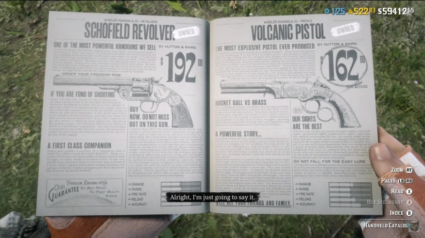 DISCOUNTED GUNS