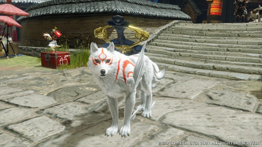 "AMATERASU" PALAMUTE