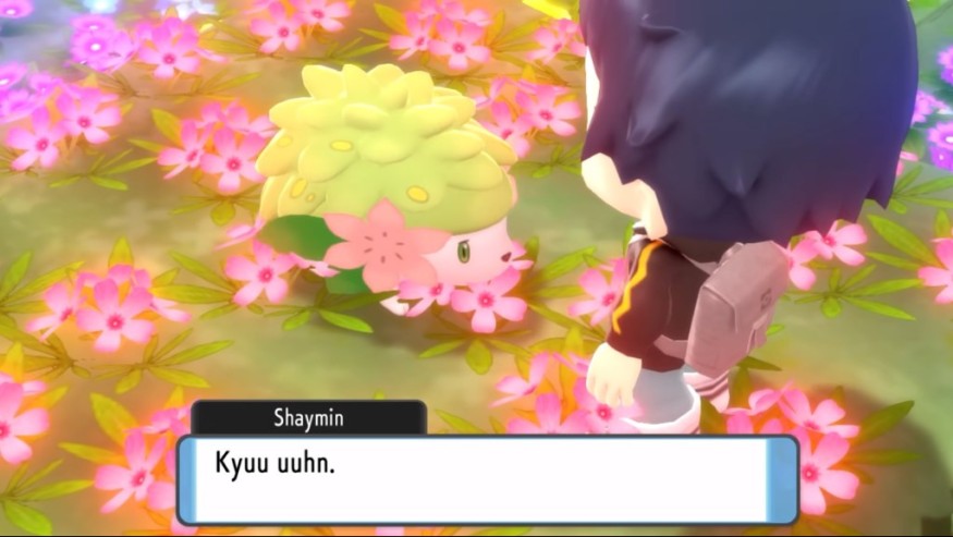SHAYMIN
