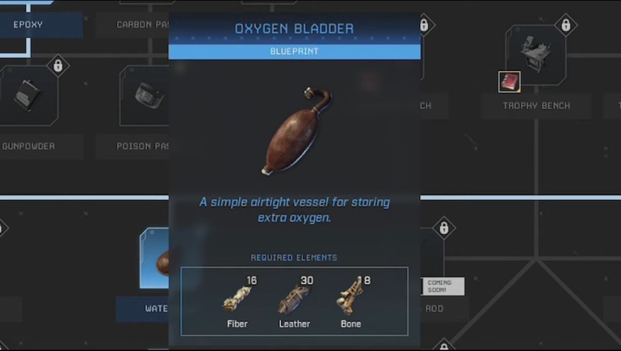 THE OXYGEN BLADDER