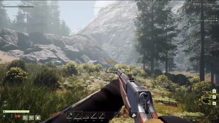 HUNTING WITH GUNS