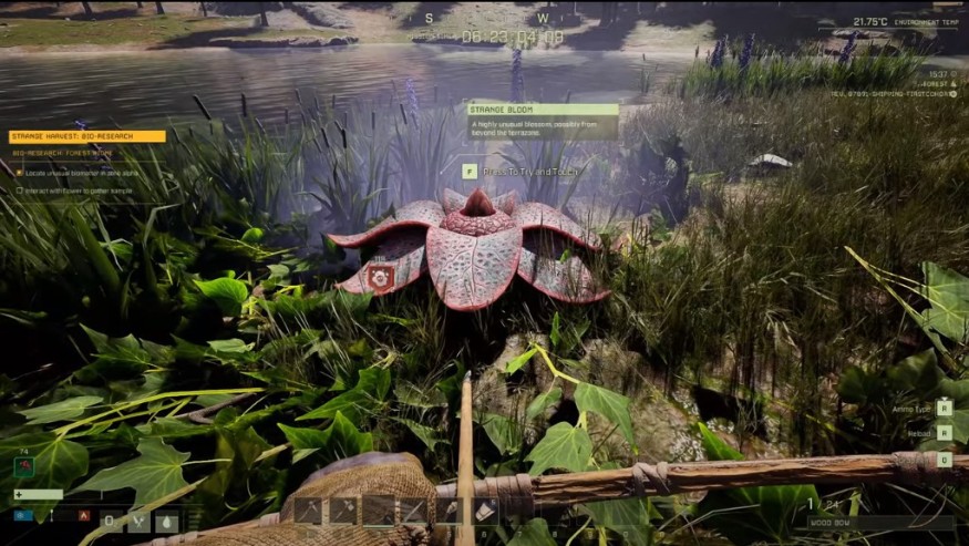COLLECTING THE STRANGE FLOWER