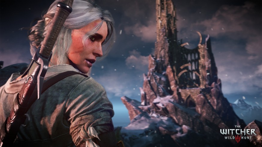 witcher 3 steam