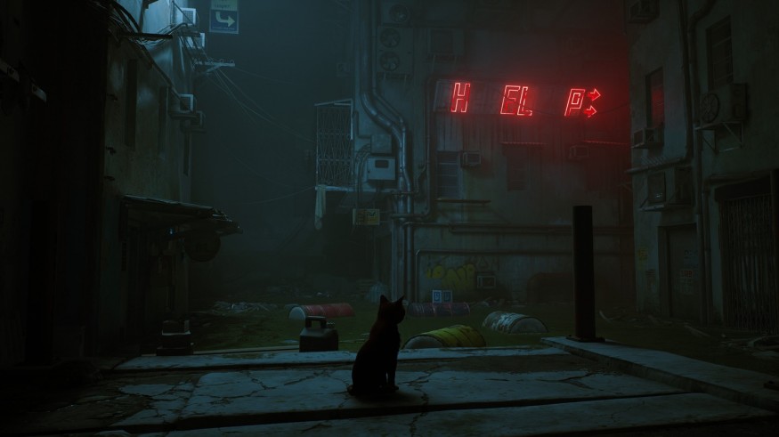 stray steam