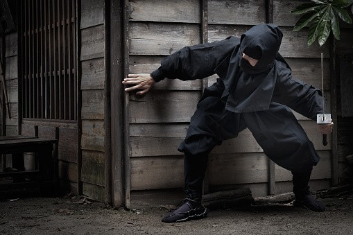 ninja