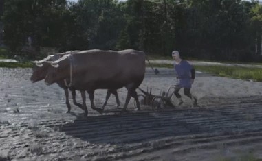 Nerf Sheep! Manor Lords Dev Forced To Patch Out Economy-Breaking Exploit Prior to Full Release